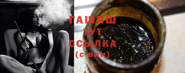 гидра Богородск