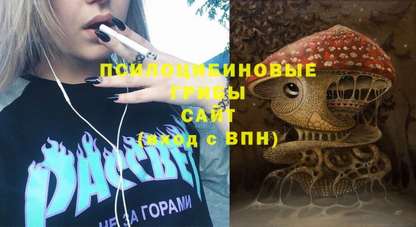 apvp Киров