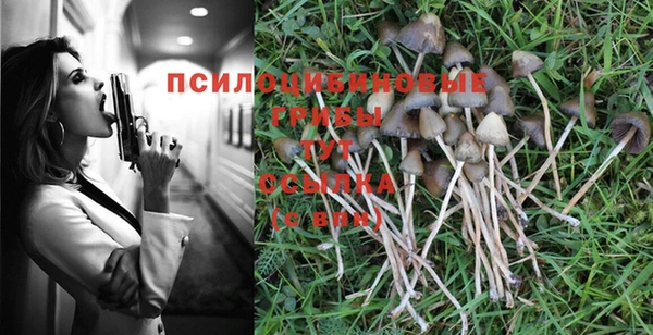 apvp Балабаново