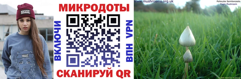 наркота  Вихоревка  Галлюциногенные грибы мухоморы 